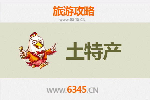 伊犁察布查尔旅游必带土特产推荐清单